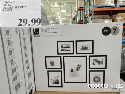 wholesale temple frame Costco